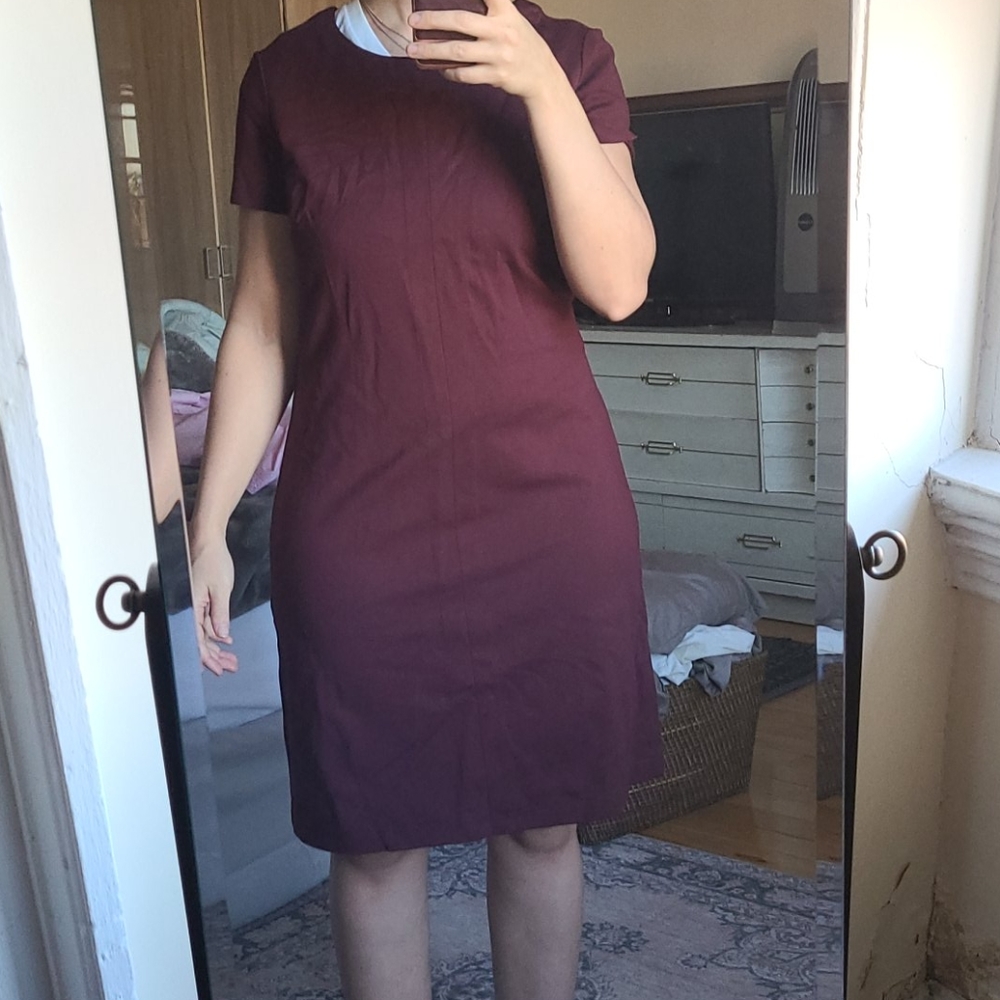NWOT Brooks Brothers Red Fleece Purple Dress L - Picture 5 of 6